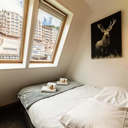 Le Chesery - Immodreams - Appartement